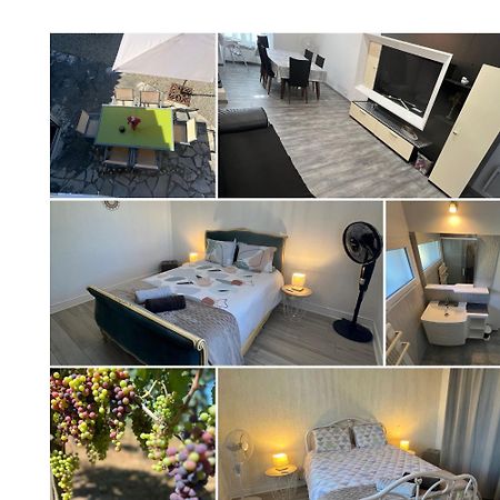 Gite Le Clos Saint-Sulpice-de-Faleyrens Eksteriør billede