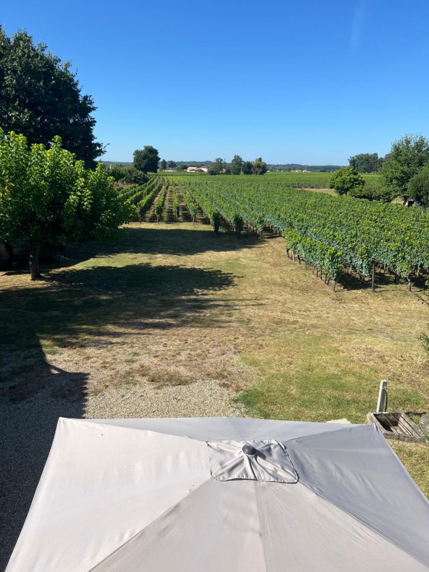 Gite Le Clos Saint-Sulpice-de-Faleyrens Eksteriør billede